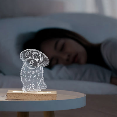 Lampe de nuit